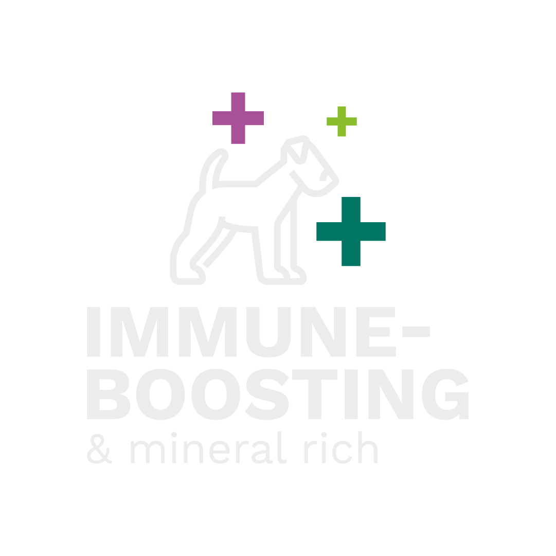 Icon of a dog surrounded by plus signs and the text “IMMUNE-BOOSTING & mineral rich”